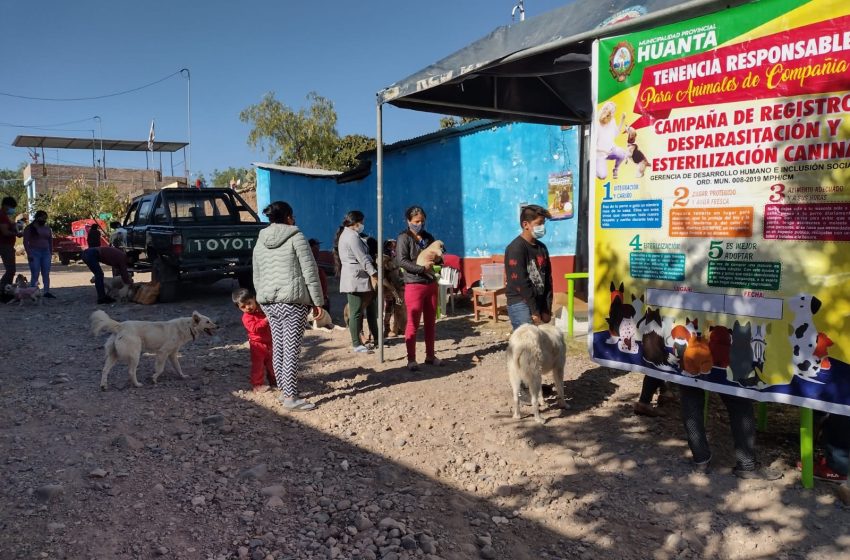  Campaña de erradicación de la rabia y desparasitación en el barrio de Accoscca – Huanta