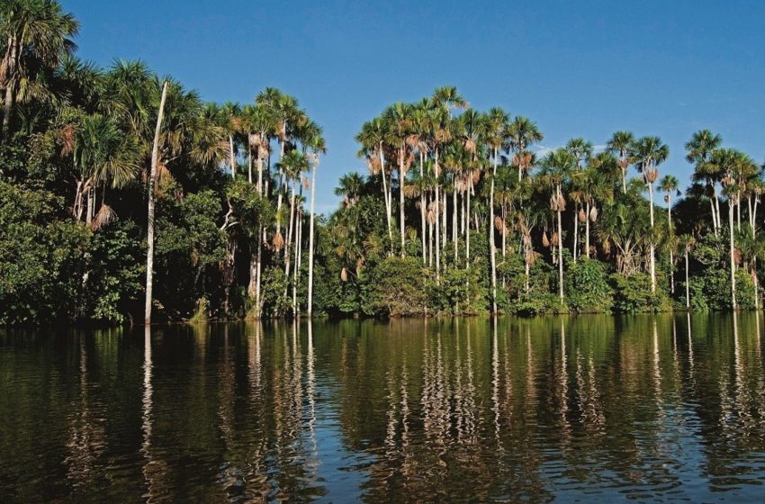  Día de las Áreas Naturales Protegidas: conoce su importancia para conservar ecosistemas