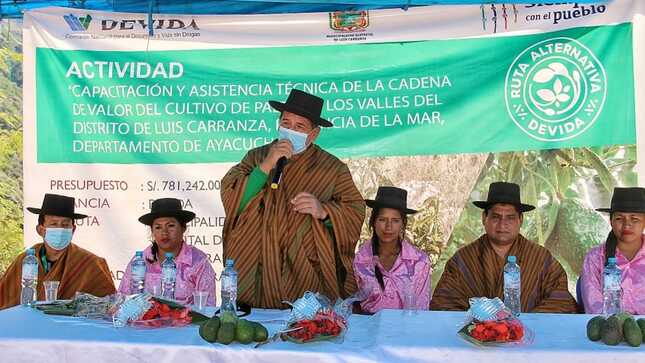  VRAEM: MÁS DE 260 FAMILIAS INICIAN LABORES DE MANEJO TÉCNICO PARA OPTIMIZAR CULTIVO DE PALTO EN LUIS CARRANZA…!!